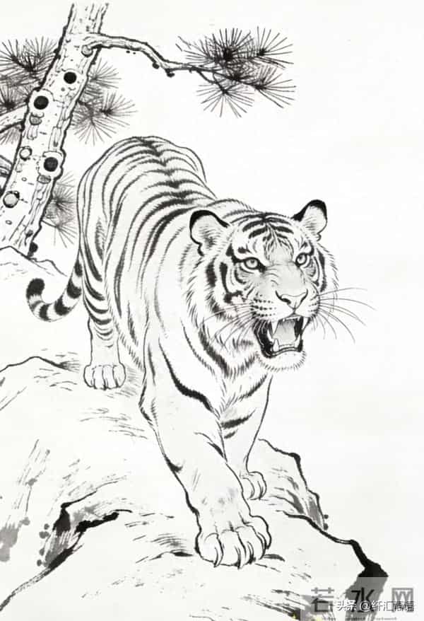 猛虎下山图，霸气侧漏