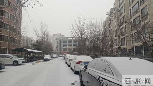 京城初雪