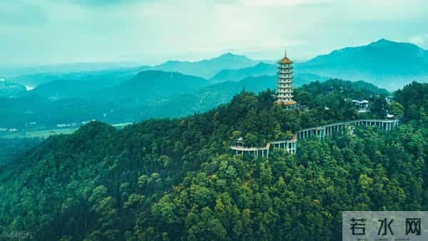 华夏古籍:《楚居》清华简