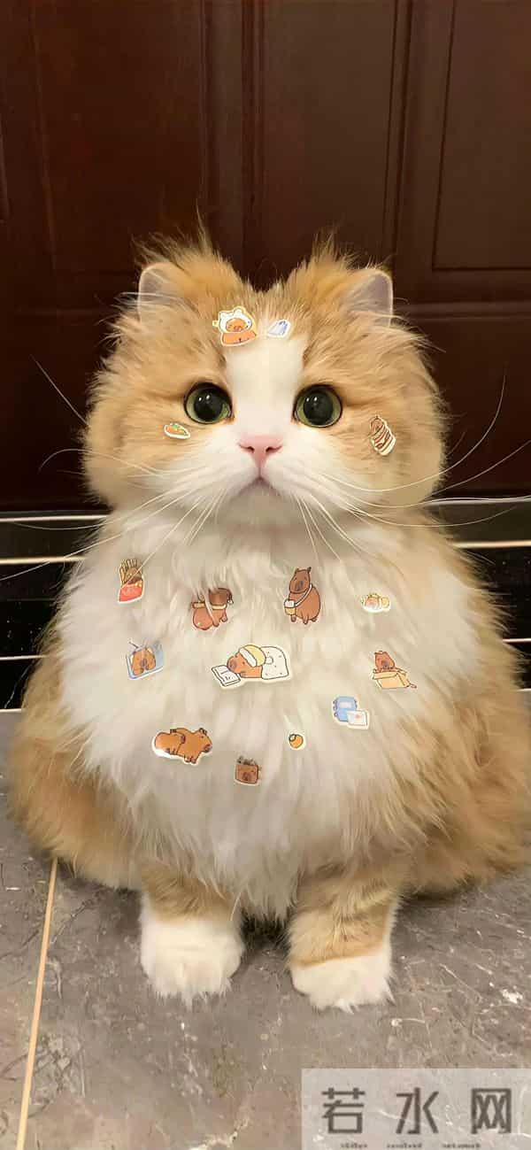 Share｜高质量锁屏壁纸12.14