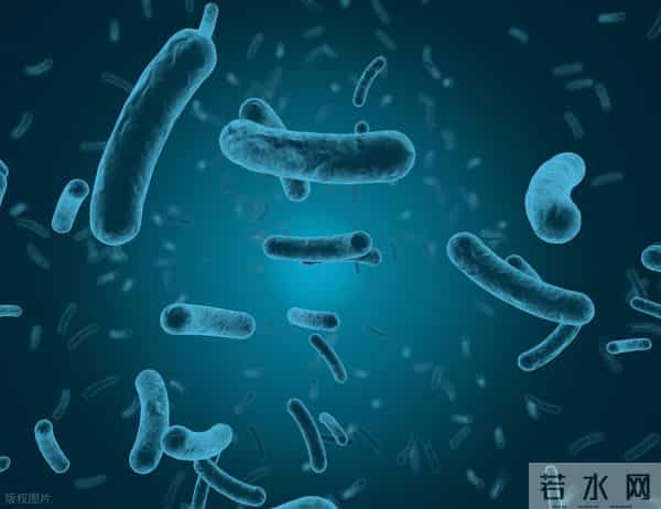 甲流引发全身不适，免疫力下降？试试这一款，助力增强抵抗力