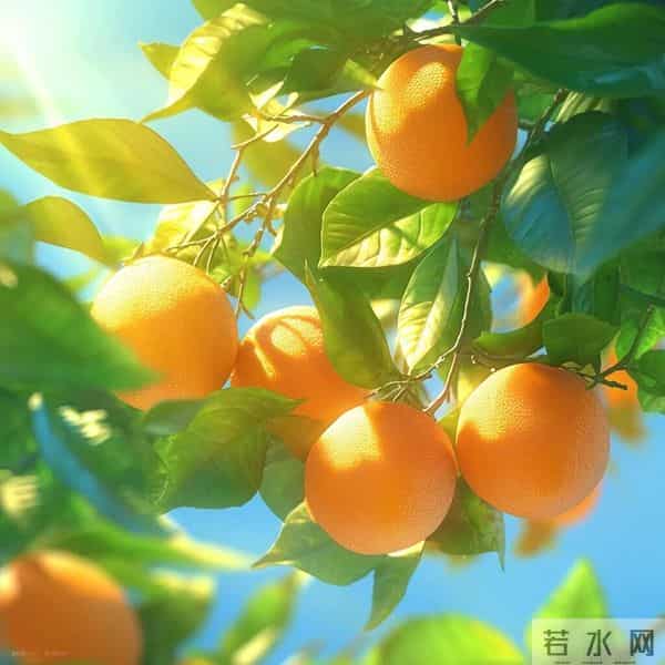 2026旺自己的微信头像｜26张