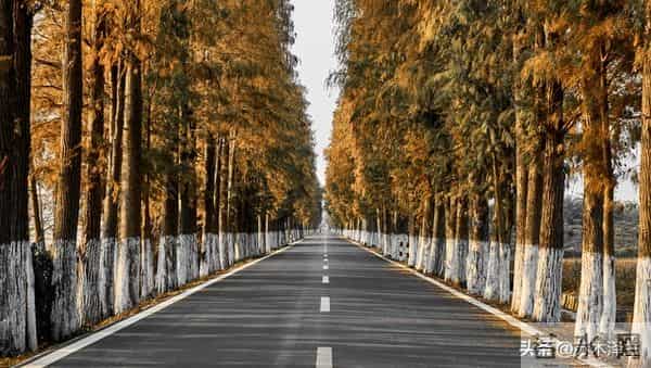 你家孩子，是来报恩的顶级天命，你没注意到天意让你刷到此文？