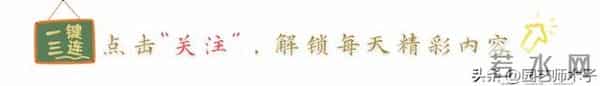 冬季三角梅掉花又浅色？暖气房做好 3 点，花苞艳压室外，新手也会