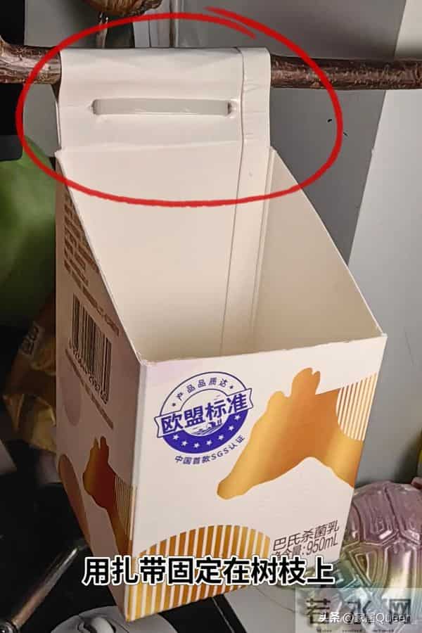 不要钱的“废物改造”,9个变废为宝的家居妙思,简直天才!