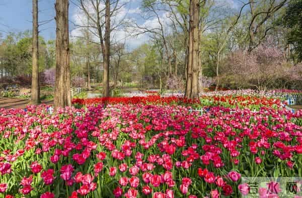 现在的人都很现实，手里没钱，大多数都装不下去了