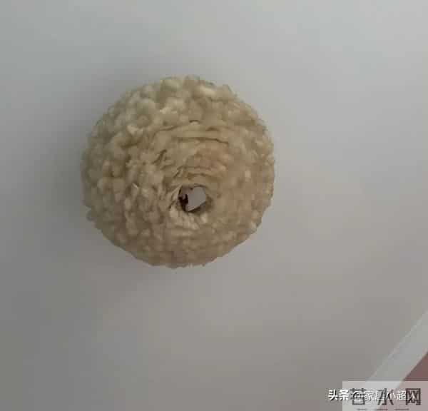 太坑人了！这7个“网红产物”真垃圾，什么玩意，买了就是浪费钱