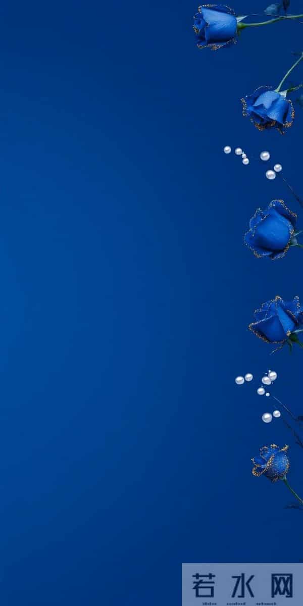 蓝 色 郁 金 香 高 清 壁 纸