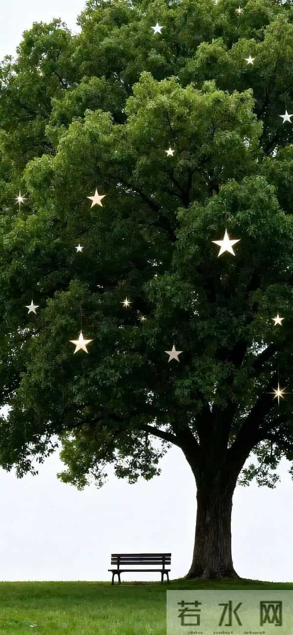 壁纸--存在于每个当下