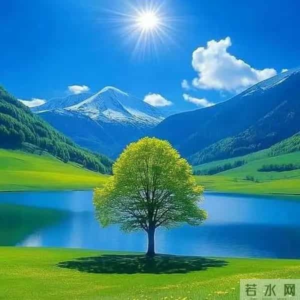 旺自己的微信头像