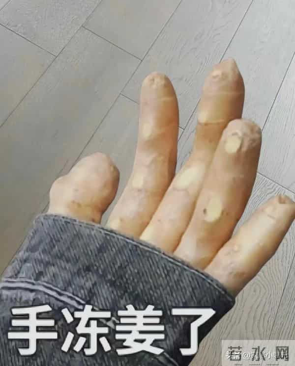 冬季10个“不花钱取暖”妙招，打开思路，不花钱照样可以温暖过冬