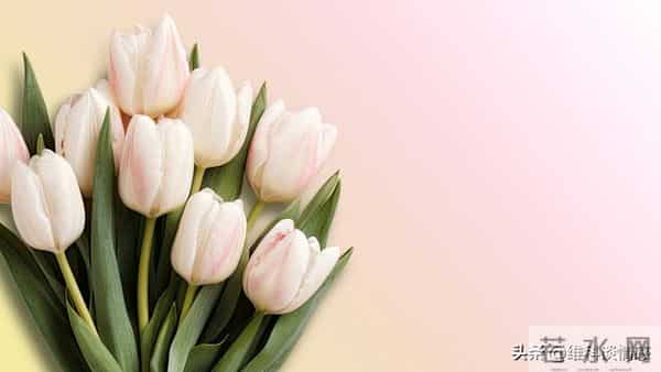 有富之人，藏不住”：有福气的男人，身上有这3个特点