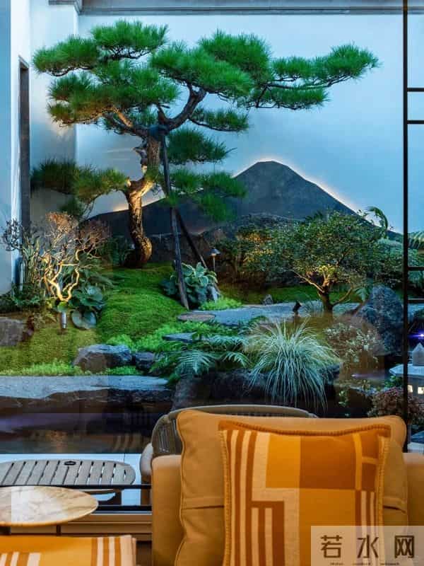 种树一定要种对位置！种错位置，后悔一辈子！