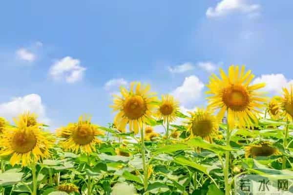 我把家里的旧衣服全部扔掉后,奇怪的事情发生了