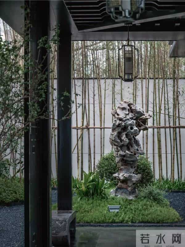 种树一定要种对位置！种错位置，后悔一辈子！