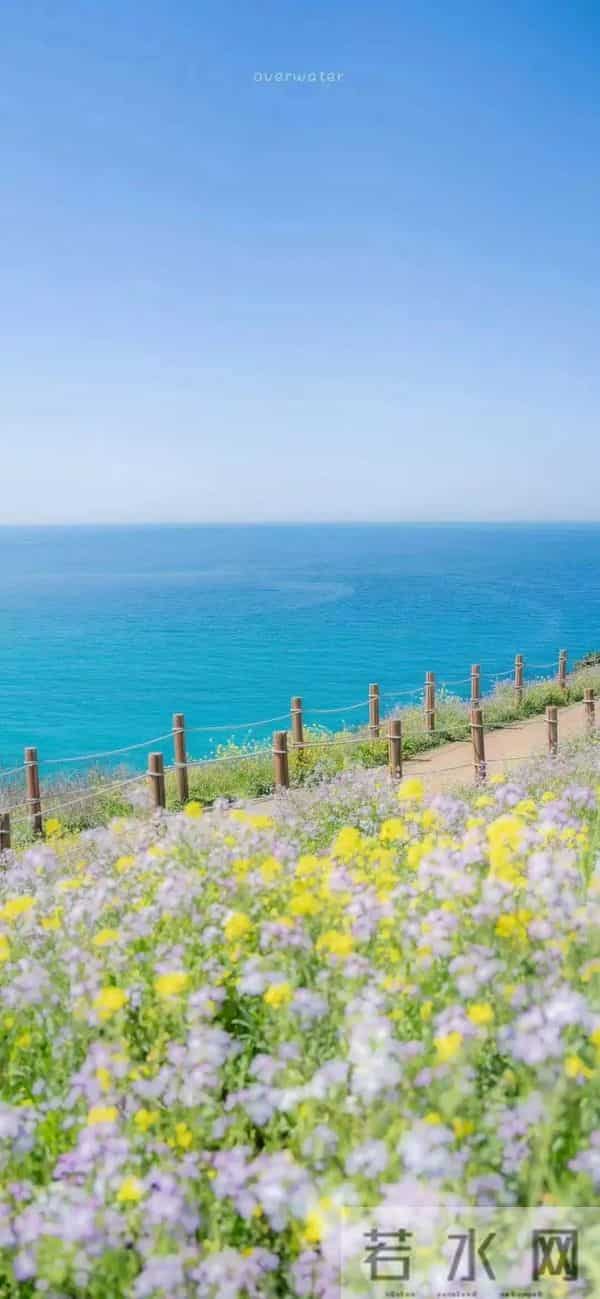 高质量精选手机壁纸