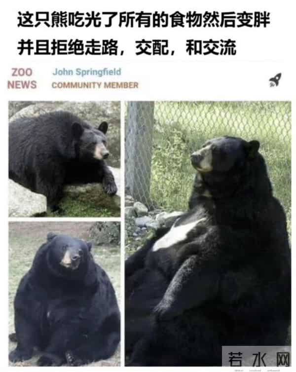 又到了重温陈奕迅经典语录的时候 - 冷段子3430 & 去年今日3080