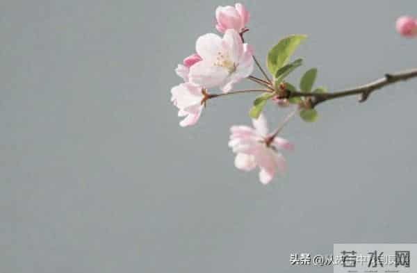 不管有钱没钱，只要家中出现了这“三个吉兆”，家就是福地