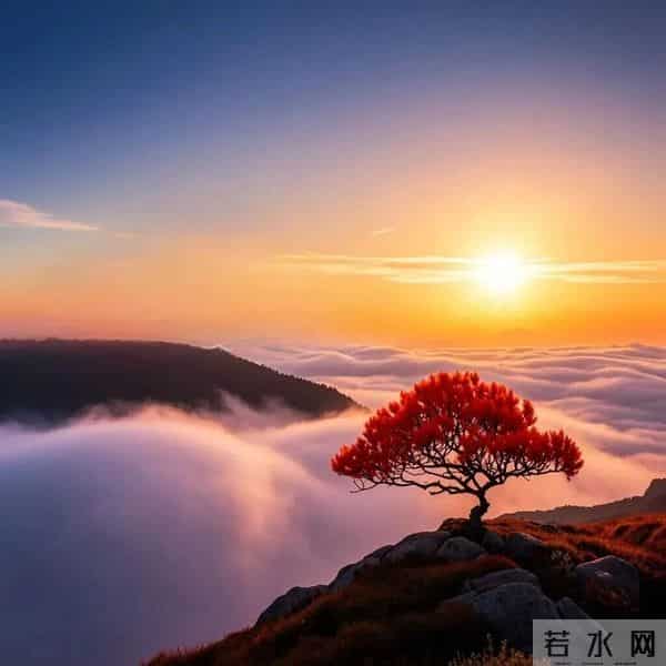 超旺自己的微信头像｜20张