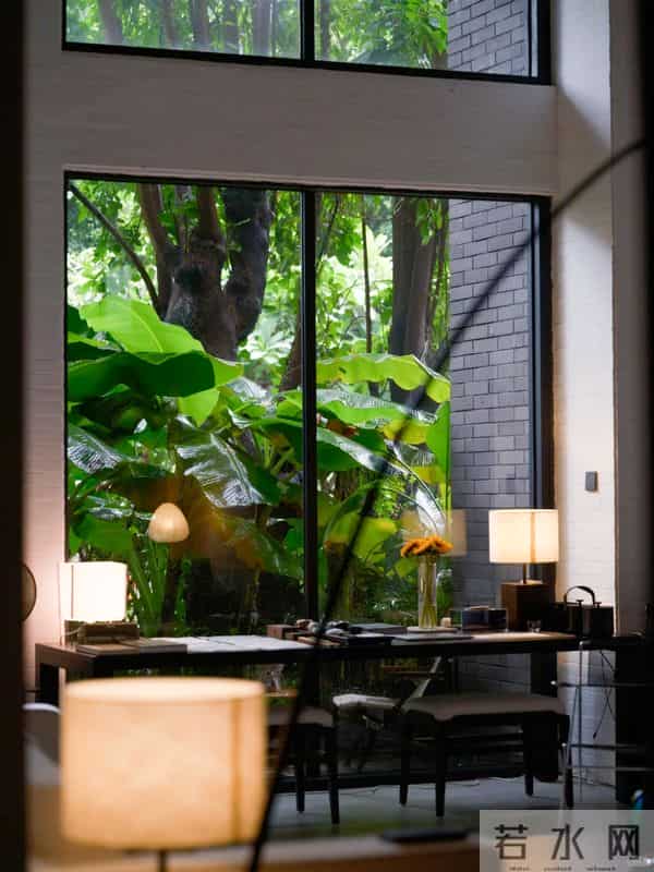 种树一定要种对位置！种错位置，后悔一辈子！