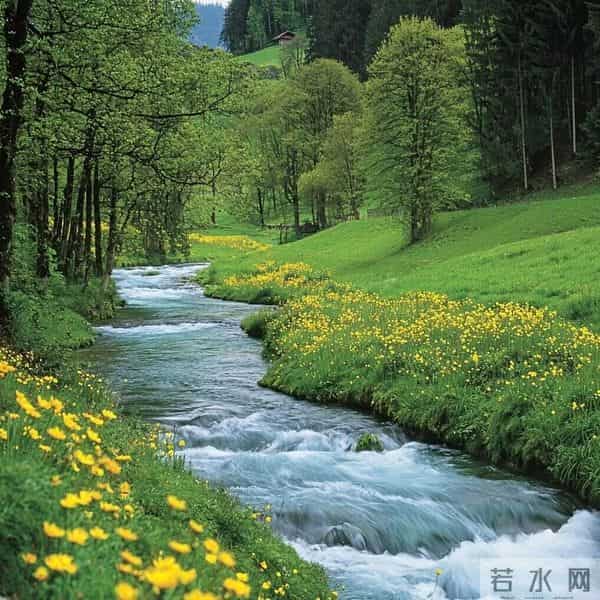 2026旺自己的微信头像｜26张