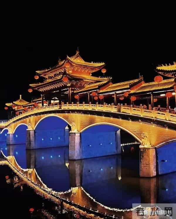 这5种花不要“换大盆”，小盆“憋着养”，疯狂冒花苞