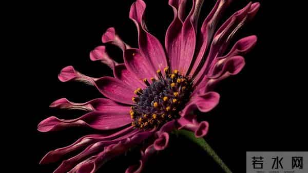 2025年12月14日~12月18日，周日，丑牛，有动静了！