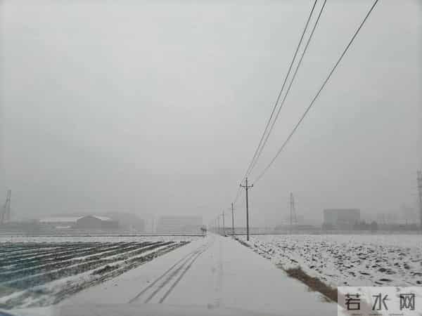 人家下雪天往家跑，而我下雪天往菜地跑，是憨了还是傻了？