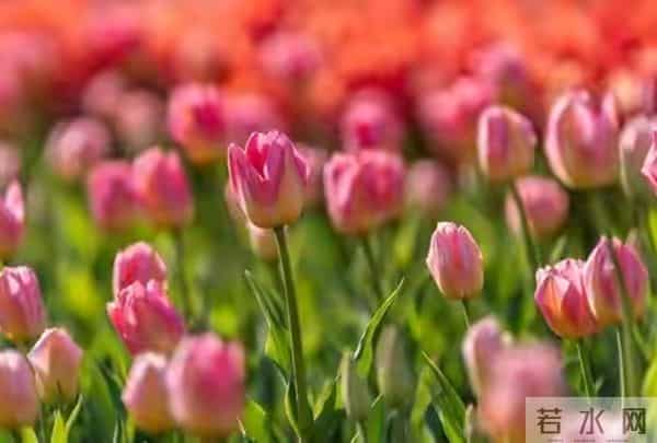 我把家里的旧衣服全部扔掉后,奇怪的事情发生了