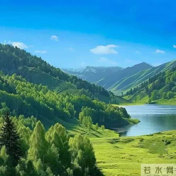 八方聚财微信头像