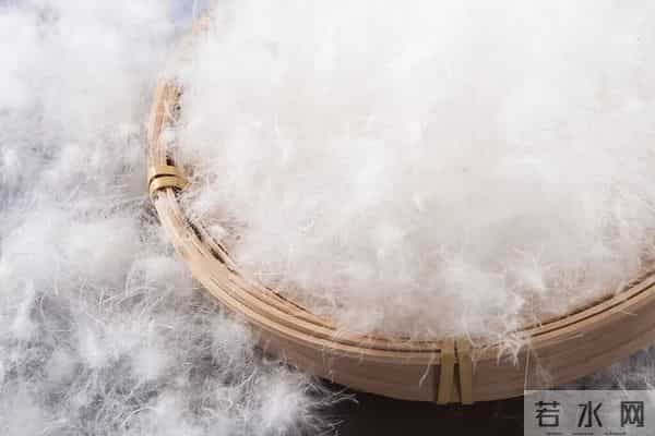 星空夜话 - 穿了这么多年羽绒服，这些细节很多人居然不知道！