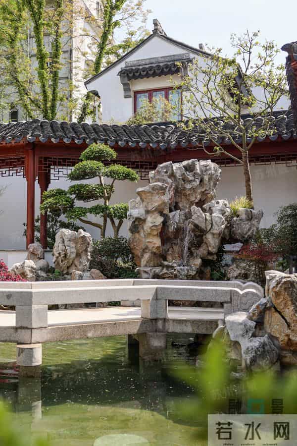 种树一定要种对位置！种错位置，后悔一辈子！