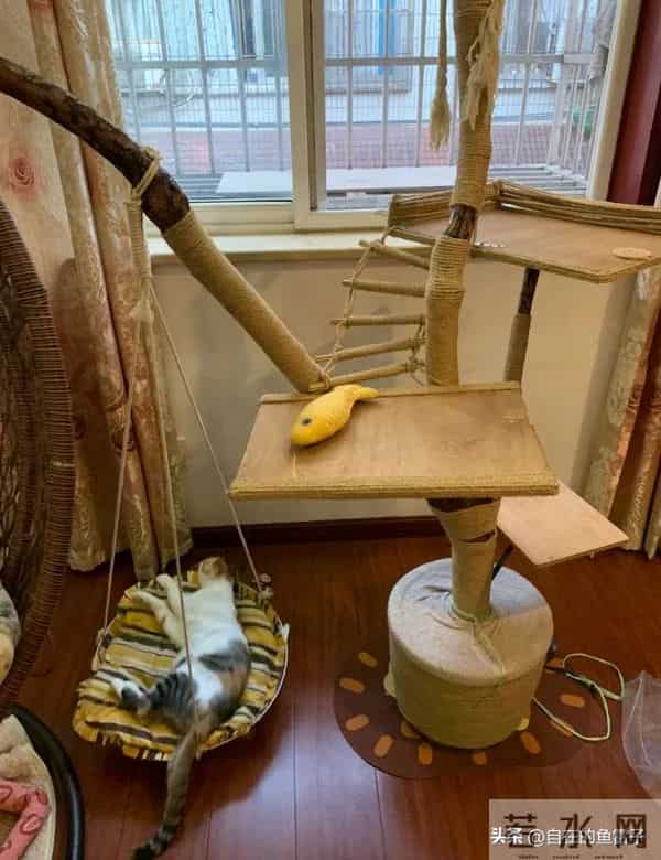 闲置旧家电别只当废品卖！网友的脑洞改造，让你直呼亏大了