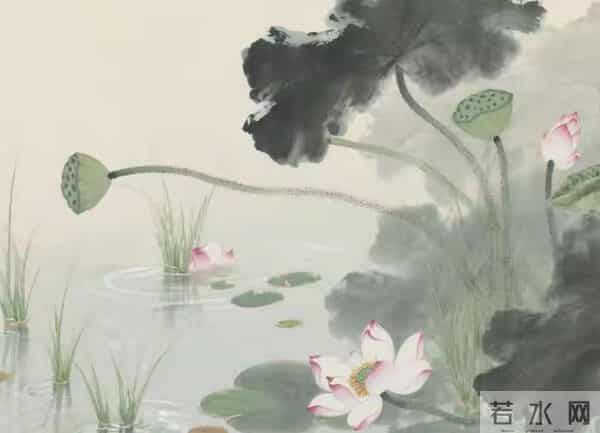 养花30年，我淘汰了大半的花草，只留这7种，越养越上瘾！