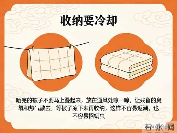 晒过的被子那股“太阳味”,是螨虫被烤焦了吗?真相瞒不住了!