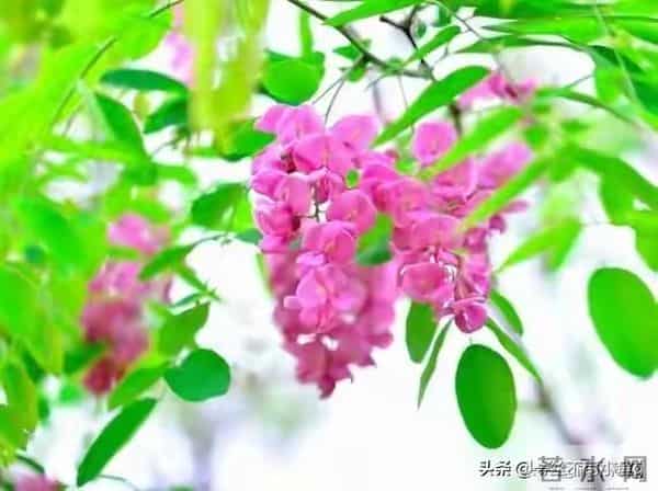 门口放一天，家里穷三年”？邻居用亲身经历告诉你，真不是迷信！