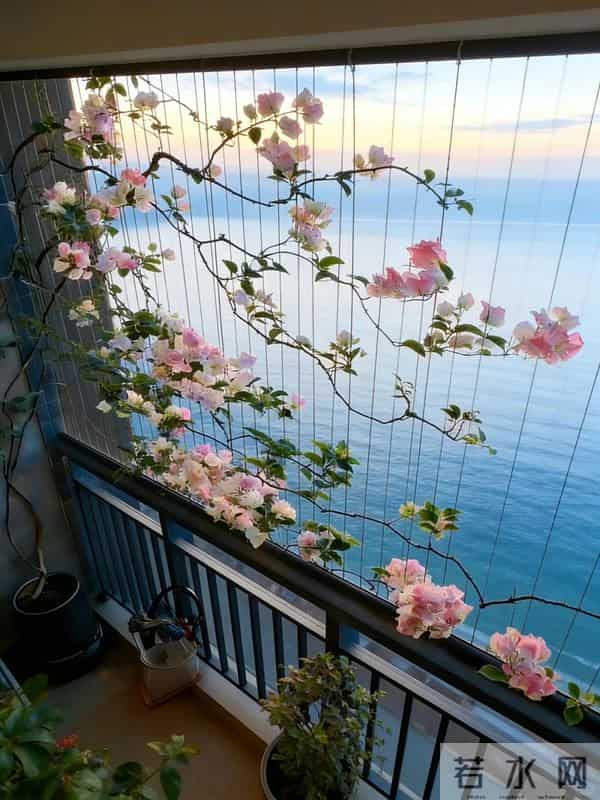 广东一女子，因国风版三角梅走红，阳台爬满花瀑布，网友：求教程
