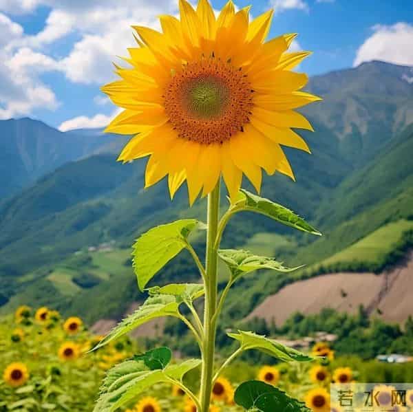 换一个旺自己的微信头像