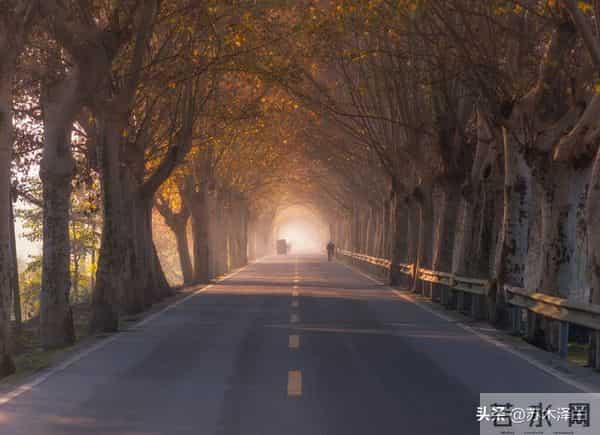 你家孩子，是来报恩的顶级天命，你没注意到天意让你刷到此文？