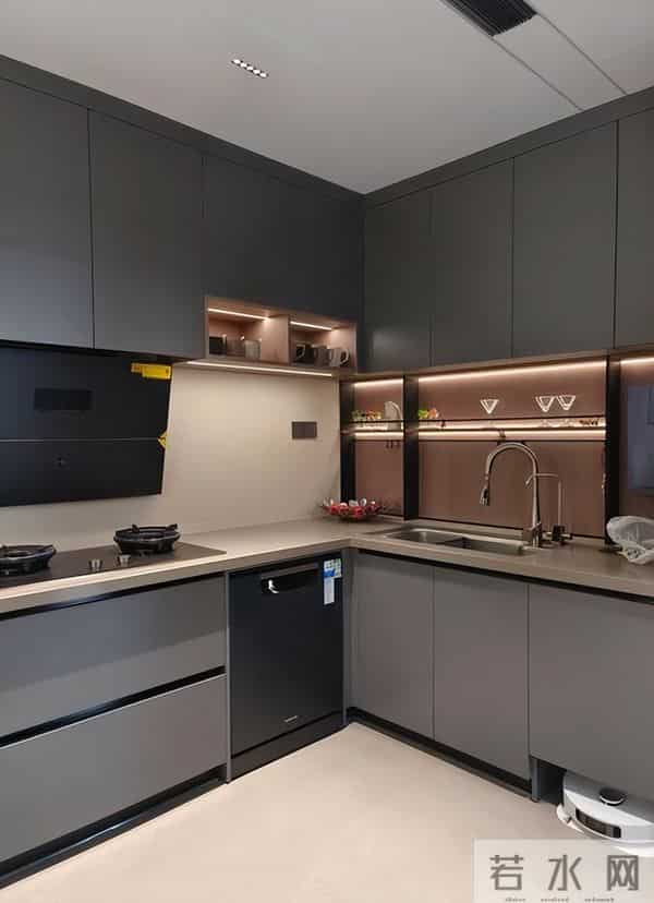 明年开始大范围流行，下沉式卫生间！