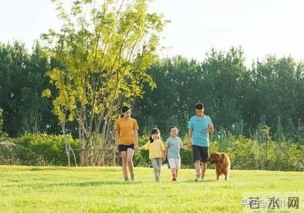 2026年,孩子好运爆棚,全家迎来转机,高光时刻近在眼前!