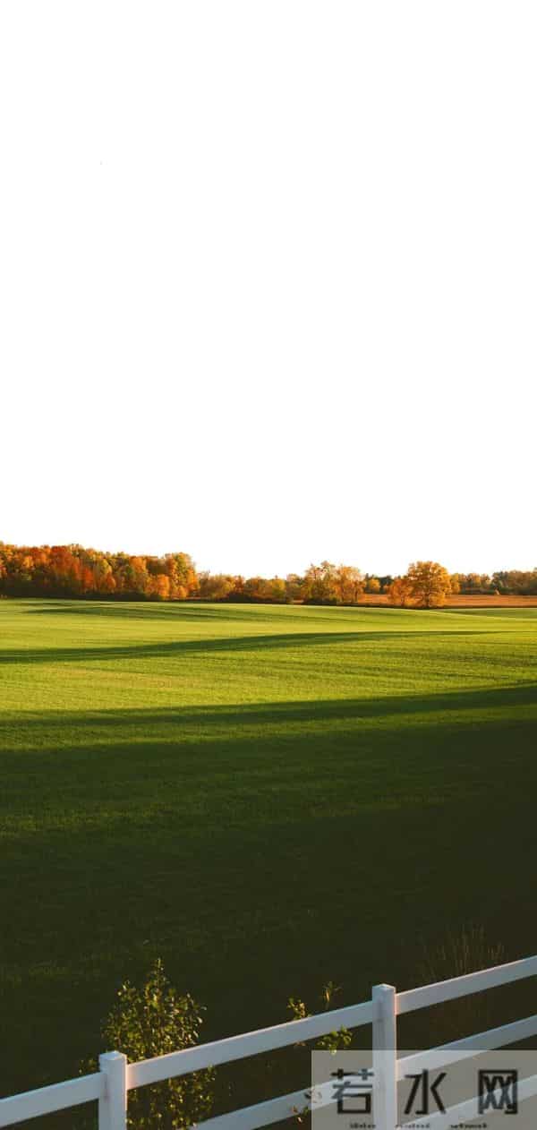 手机壁纸｜没有什么事，比开心和健康更重要