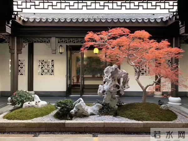 种树一定要种对位置！种错位置，后悔一辈子！