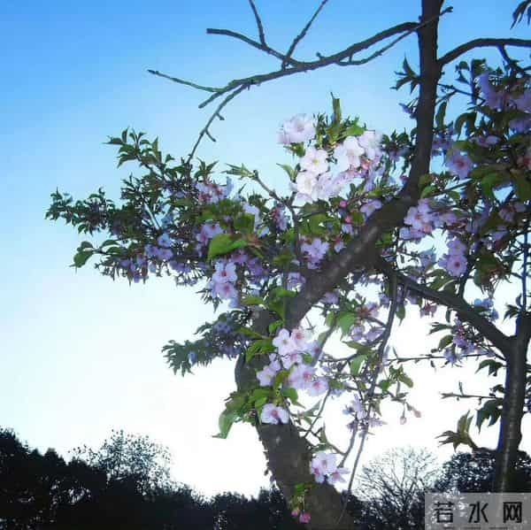 朋友圈背景图头像