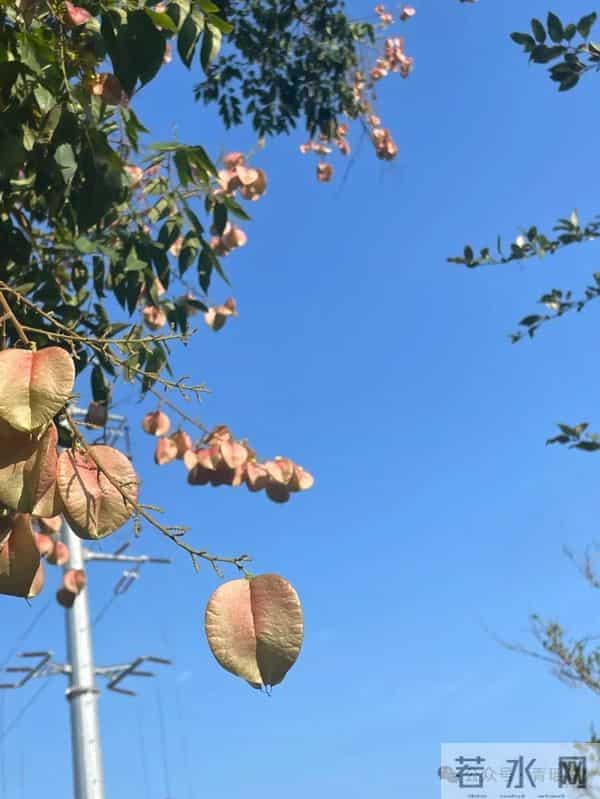 想要“省钱”中老年人最该记住的八句话