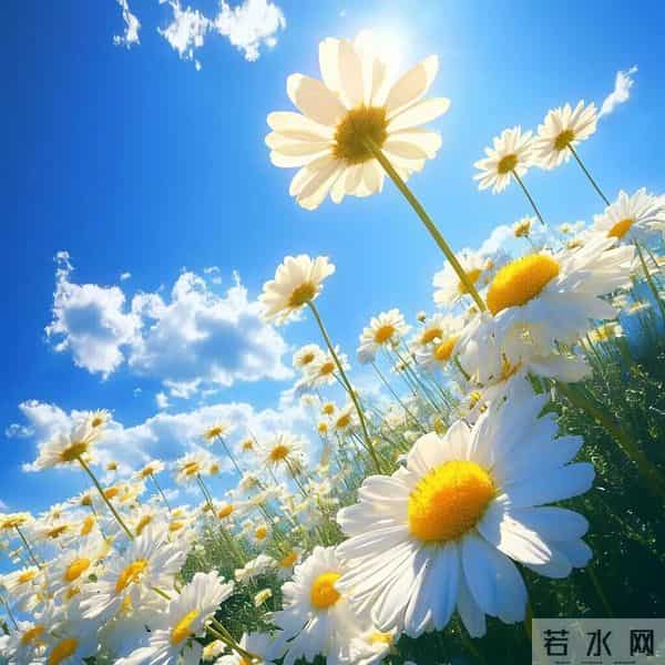 男人用的最最吉利头像