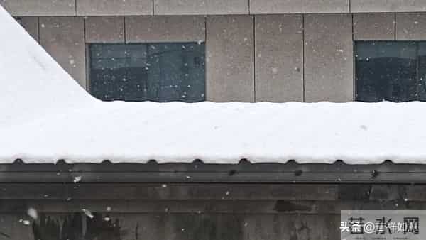 六路奔向寒冬来，一齐走过鲜花开，朱顶红的安全越冬对策