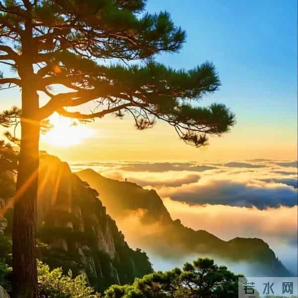 能量头像-跃鲤呈祥，竹节节高，年年有余