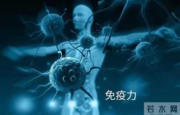 甲流高发期，多吃5种自带“青霉素”的食物，抗菌消炎，增强抵抗