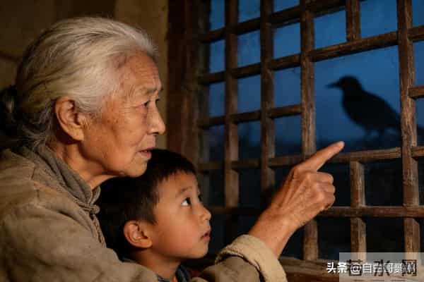 老人念叨的忌讳：这3种鸟进家门，真得注意吗？我40岁那年遇上了